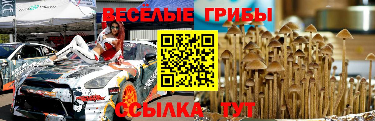 закладки  Вход с VPN  Людиново  Галлюциногенные грибы Psilocybine cubensis 